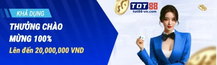 Xác Minh Danh Tính (KYC)